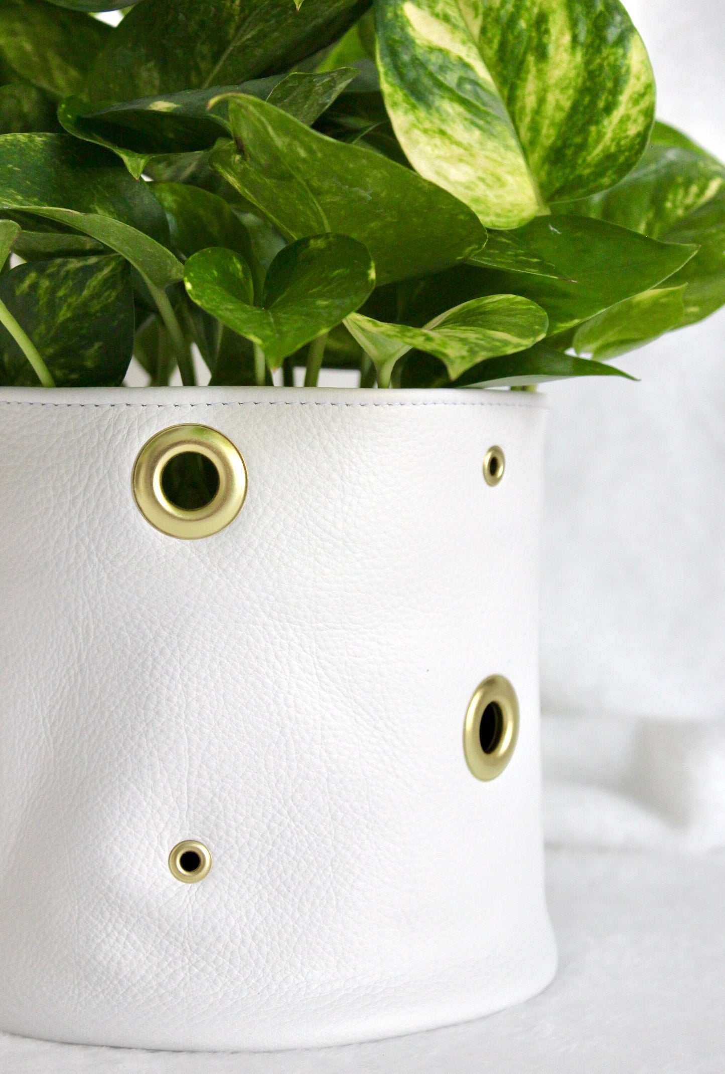 Leather Plant Pot, Leather Planters